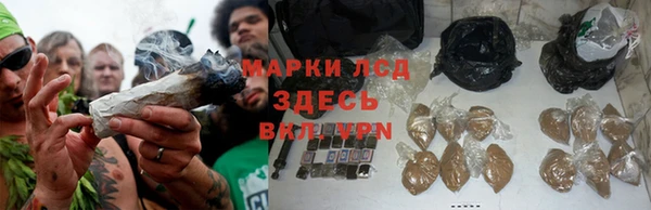 ALPHA PVP Арсеньев