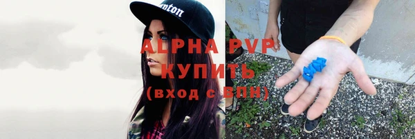 твердый Аркадак