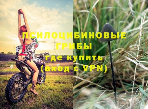 ALPHA PVP Арсеньев