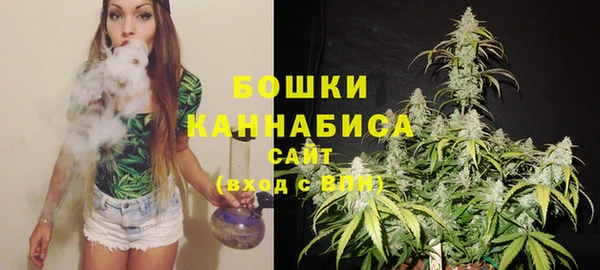 твердый Аркадак