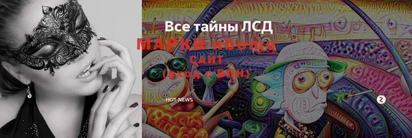 твердый Аркадак