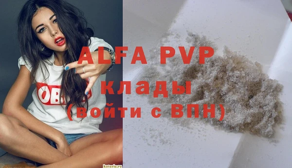 твердый Аркадак